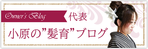 代表 小原の”髪育”ブログ