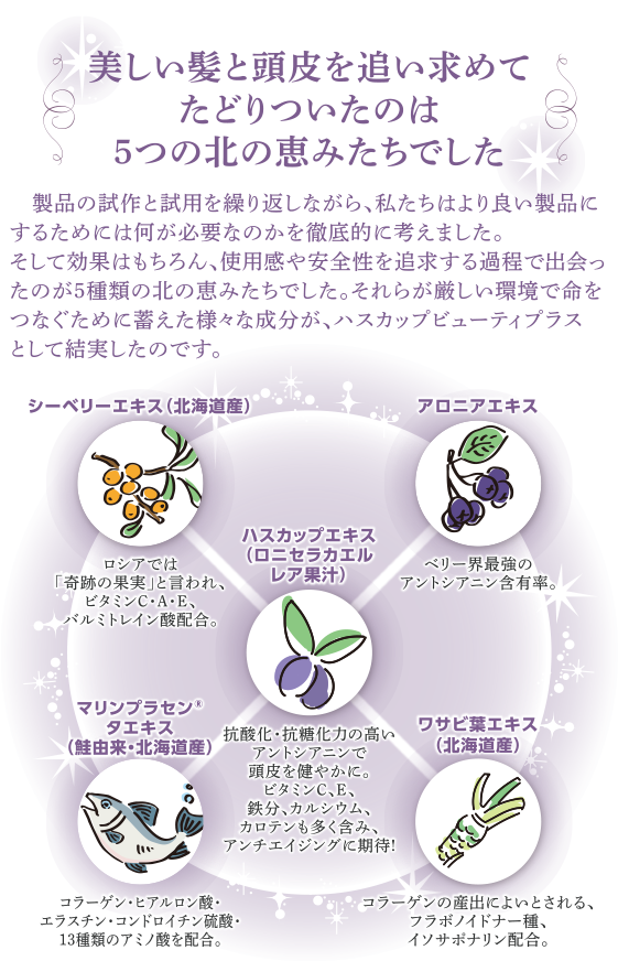 美しい髪と頭皮を追い求めてたどりついたのは5つの北の恵みたちでした