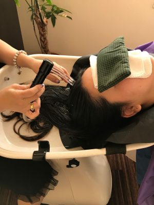 Haskap hair treatment　https://www.ankh-jp.com/english/