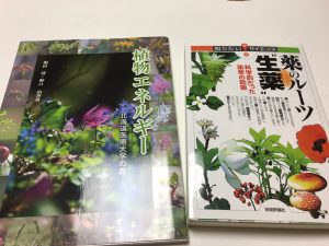 植物 札幌 http://www.ankh-jp.com