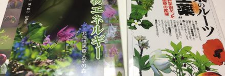 植物 札幌 http://www.ankh-jp.com