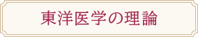 東洋医学の理論