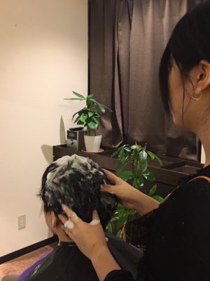 Haskap scalp therapy https://www.ankh-jp.com/english/