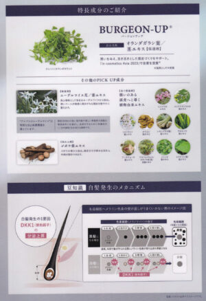 白髪を黒毛へ　ハーブマジックスキャルプセラムV　優秀開発者賞を受賞　https://www.ankh-jp.com/ankh-menu-blog/23scalp-cleaning/10995/