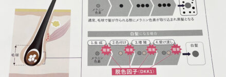 MIAN HM ADOVEシャンプー