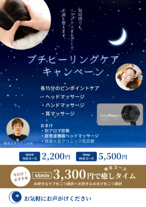 プチヒーリングケア・キャンペーン　あんく　https://www.ankh-jp.com/ankh-menu-blog/25jcdr-cosme/11206/