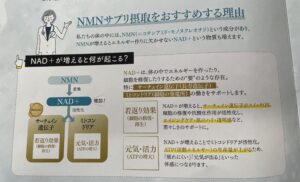 若々しさの鍵は「ミトコンドリア」にあった  〜今注目の成分NMNとは？〜　 https://www.ankh-jp.com/ankh-menu-blog/25jcdr-cosme/11347/